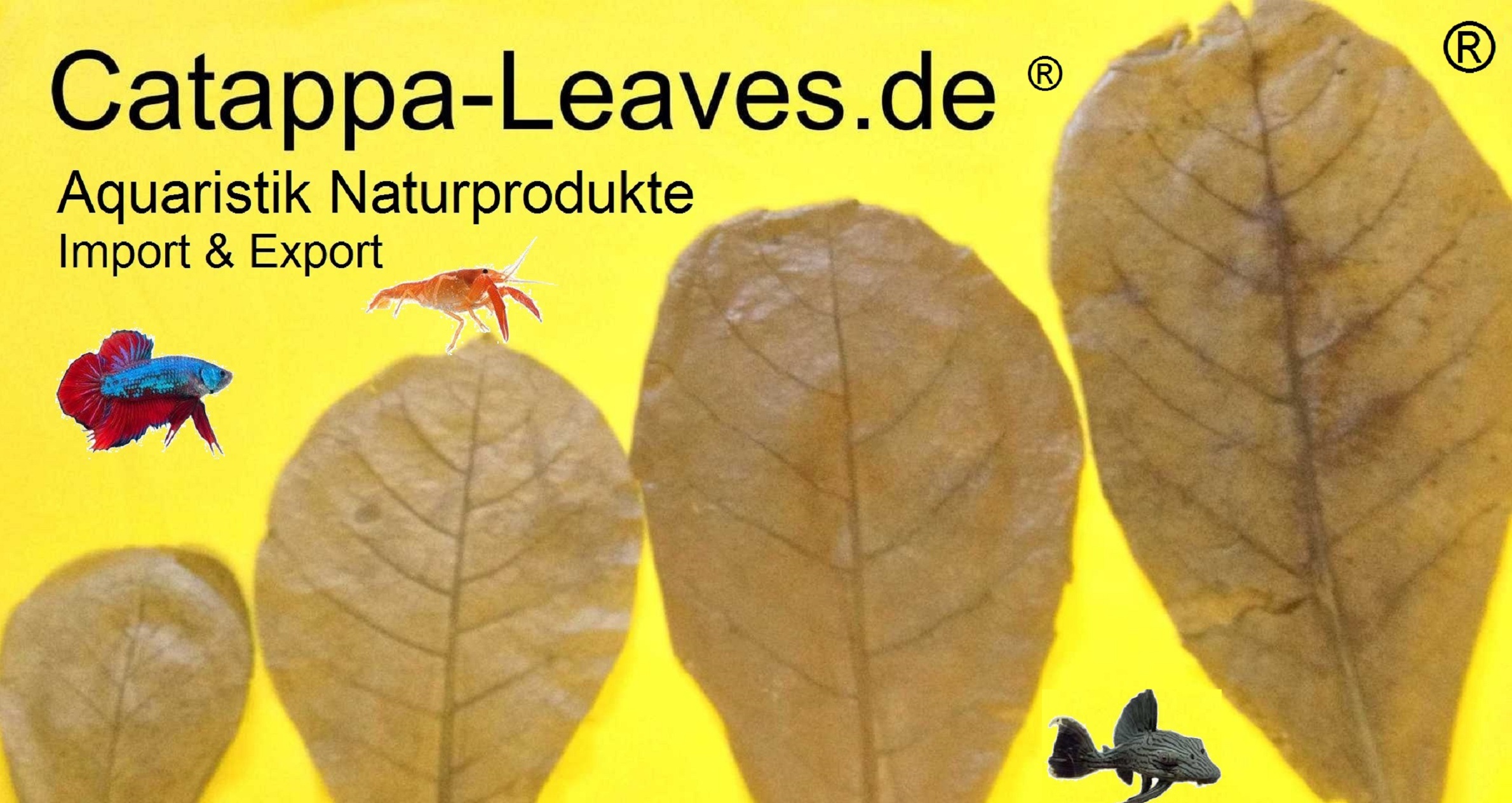 logo_catappa_leaves